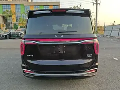 2024 Hongqi HQ9 2.0T PHEV 4WD Business — фото 6