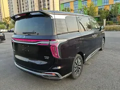 2024 Hongqi HQ9 2.0T PHEV 4WD Business — фото 7