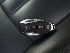 2024 Hongqi HQ9 2.0T PHEV 4WD Business — фото 9