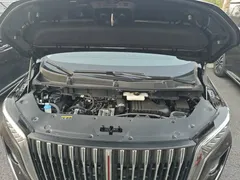 2024 Hongqi HQ9 2.0T PHEV 4WD Business — фото 20