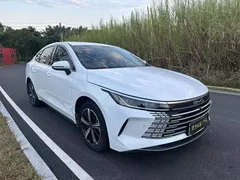 2023 BYD Destroyer 05 Champion DM-i PHEV 120KM Premium, белый — фото 3