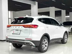 2021 Haval H6 1.5T AT Champion, белый — фото 16