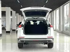 2021 Haval H6 1.5T AT Champion, белый — фото 17