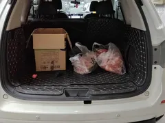 2020 Nissan Terra 2.5L XL Upper 4WD AT Luxury, белый — фото 4