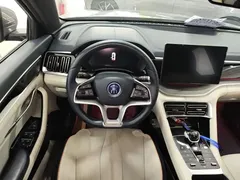 2021 BYD Song PLUS DM-i PHEV 110KM Flagship Plus — фото 11