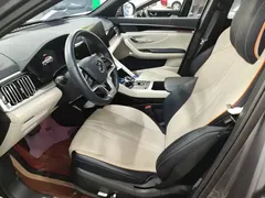 2021 BYD Song PLUS DM-i PHEV 110KM Flagship Plus — фото 15