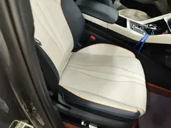 2021 BYD Song PLUS DM-i PHEV 110KM Flagship Plus — фото 25