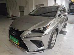 2020 Lexus NX 200 4WD Fashion China VI — фото 2