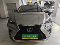 2020 Lexus NX 200 4WD Fashion China VI — фото 3