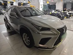 2020 Lexus NX 200 4WD Fashion China VI — фото 4