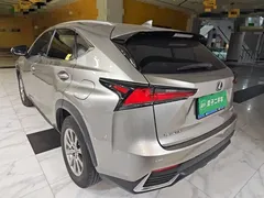 2020 Lexus NX 200 4WD Fashion China VI — фото 5