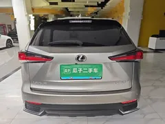 2020 Lexus NX 200 4WD Fashion China VI — фото 6