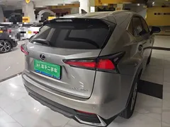 2020 Lexus NX 200 4WD Fashion China VI — фото 7