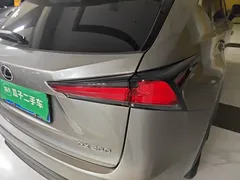 2020 Lexus NX 200 4WD Fashion China VI — фото 8