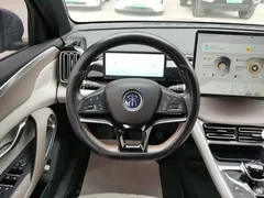 2023 BYD Song Pro Champion DM-i PHEV 110KM Excellence — фото 11