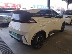 2024 BYD Seagull EV 305km Honor Freedom, белый — фото 7