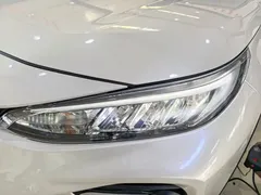 2023 Toyota Wildlander 2.0L CVT 2WD Leading, белый — фото 6