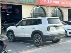 2021 Haval Dargo 1.5T DCT 2WD Border Collie, белый — фото 7
