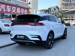 2023 BYD Tang DM-i PHEV Champion 112km Premium, белый — фото 9