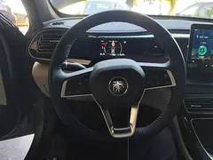 2021 BYD Qin PLUS DM-i PHEV 55km Flagship — фото 11