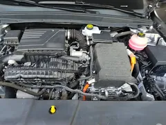 2021 BYD Qin PLUS DM-i PHEV 55km Flagship — фото 20
