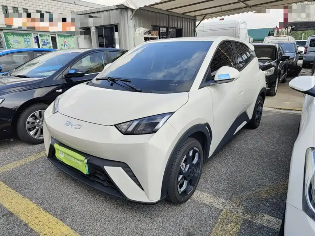 2025 BYD Seagull 305km Freedom