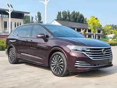 2022 Volkswagen Viloran 380TSI Premium — фото 1