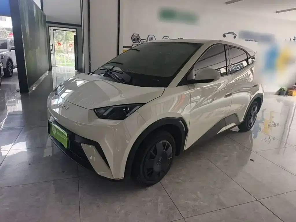 2023 BYD Seagull Vitality