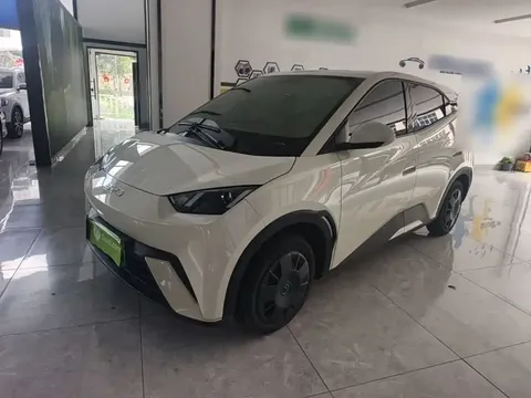 2023 BYD Seagull Vitality