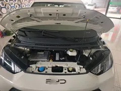 2023 BYD Seagull Vitality, белый — фото 20