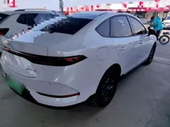 2025 BYD Qin PLUS DM-i PHEV Smart Driving 55km Leading, белый — фото 7