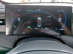 2025 BYD Qin PLUS DM-i PHEV Smart Driving 55km Leading, белый — фото 12