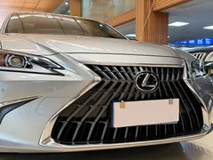 2023 Lexus ES 200 Excellence — фото 24