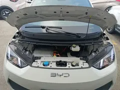 2025 BYD Seagull EV 305km, белый — фото 20