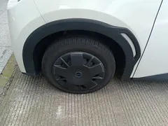2025 BYD Seagull EV 305km, белый — фото 23