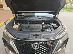 2021 Changan CS75 PLUS 2.0T AT Pilot — фото 20