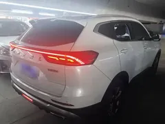 2021 Haval H6 1.5T AT Champion, белый — фото 7