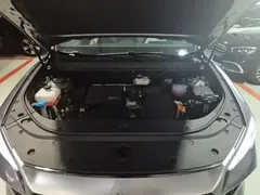 2024 BYD Song Pro Honor DM-i PHEV 71km Navigator — фото 20
