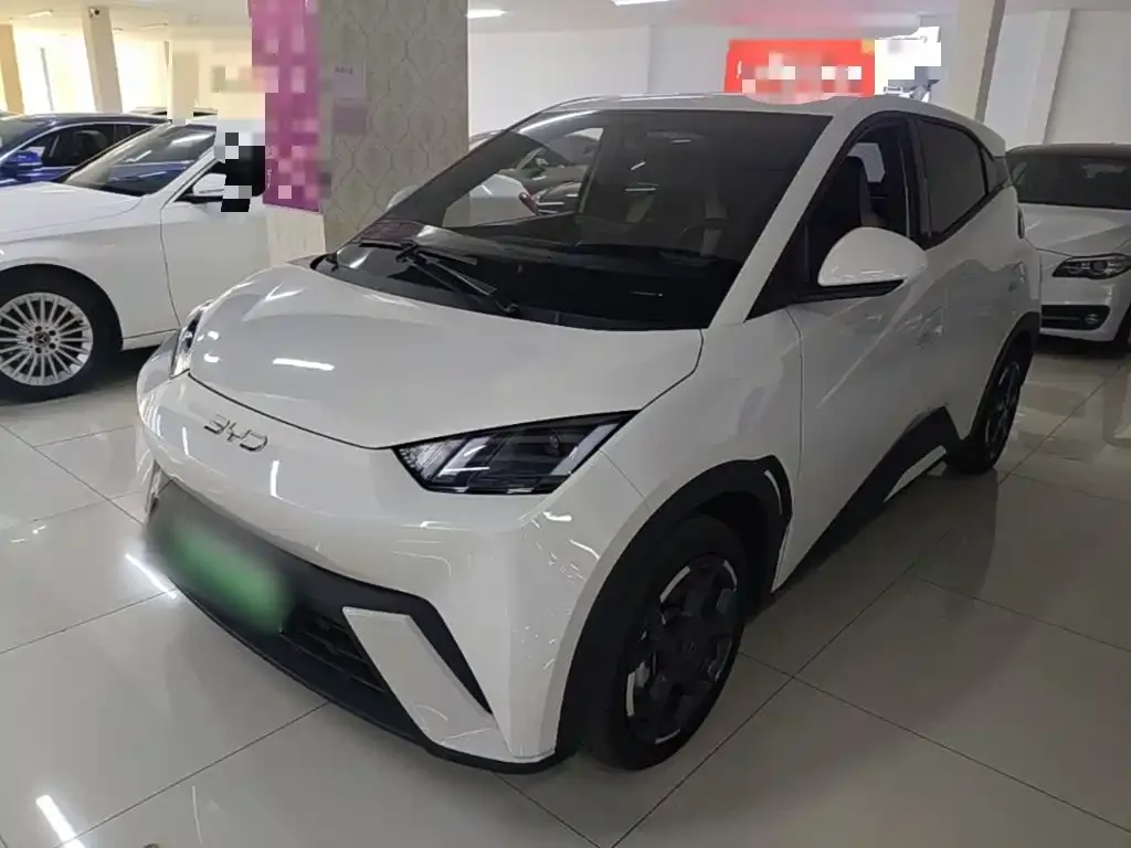 2025 BYD Seagull 305km Freedom
