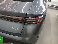 2024 BYD Seal 06 DM-i PHEV 80km Luxury — фото 8
