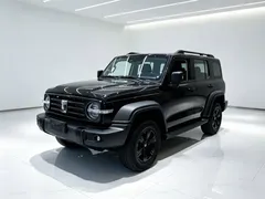 2023 Tank 300 Off-road 2.0T Conqueror, чёрный — фото 1