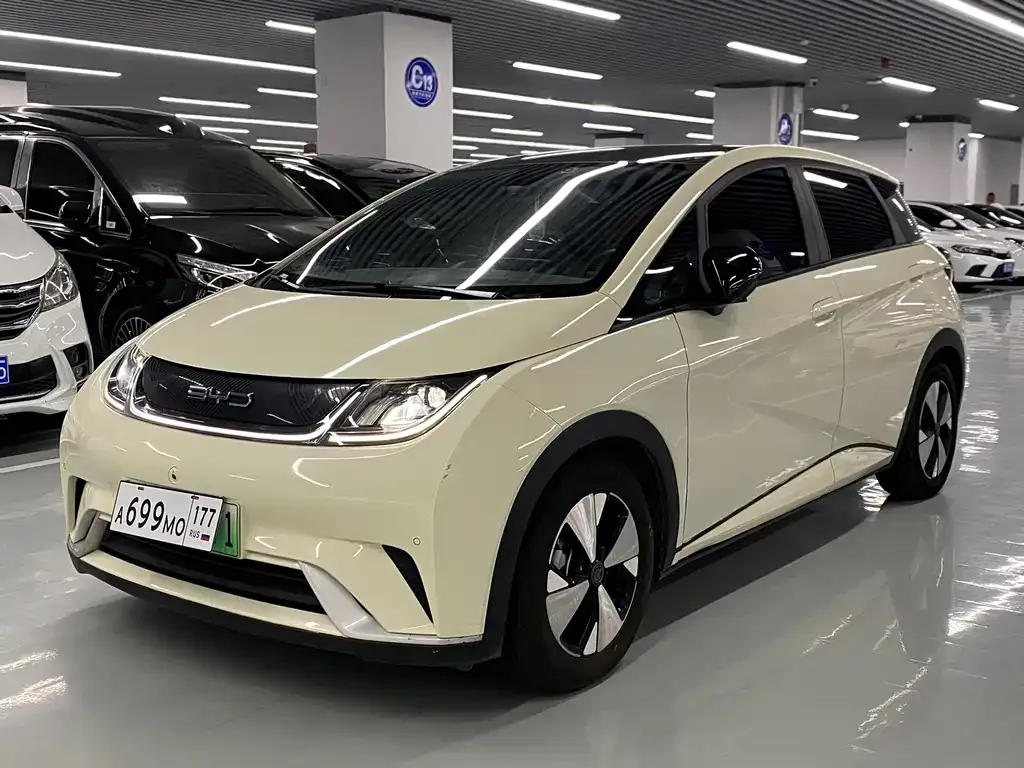 2023 BYD Dolphin 420km Fashion