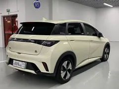 2023 BYD Dolphin 420km Fashion, белый — фото 14