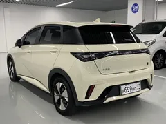 2023 BYD Dolphin 420km Fashion, белый — фото 16