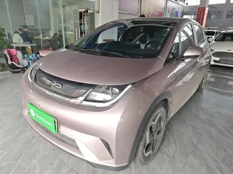 2021 BYD Dolphin 405km Fashion