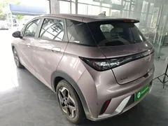 2021 BYD Dolphin 405km Fashion, чёрный — фото 5