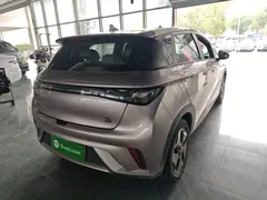 2021 BYD Dolphin 405km Fashion, чёрный — фото 7