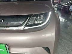 2021 BYD Dolphin 405km Fashion, чёрный — фото 24