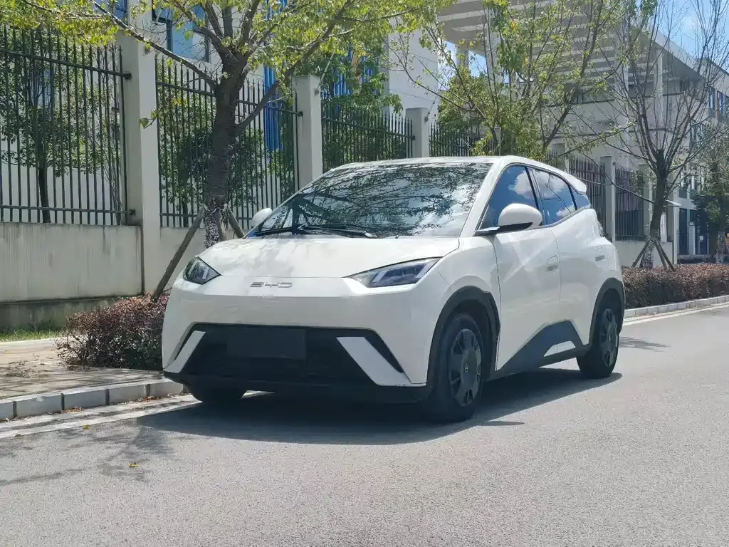 2023 BYD Seagull Vitality