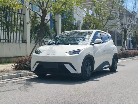 2023 BYD Seagull Vitality